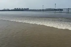 速看！杭州萧山观潮重要提醒图片