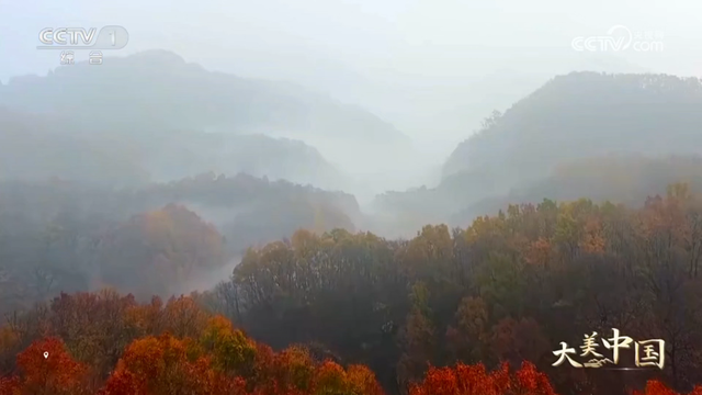 惊艳！日照初冬美景又双叒叕上央视啦！