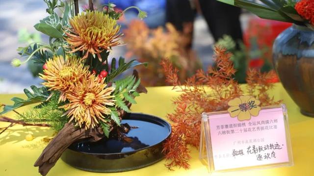 在六榕街，“慢”寻千年海丝的生活印记