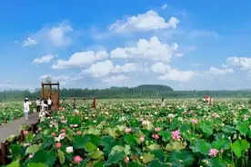 济宁 | 优惠福利拉满！到济宁来一场“虾”客行图片