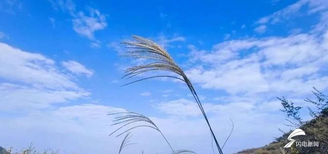 组图丨一大波美图来袭！泰山景区9个赏秋地超出片