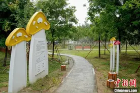 北京打造花园乡村 两镇四村生态改造初步完成图片