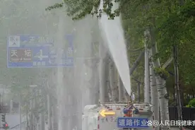 “洗剪吹+敷面膜”，北京升级柳絮防治手段图片