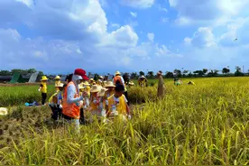 接待168万人次！黄金周首日，广东旅游市场快速升温图片
