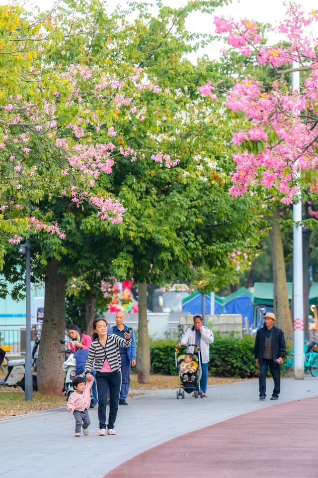 我愿意为了这道色彩，来越秀N次