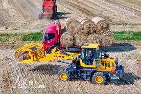 江西九江：回收秸秆 变废为宝图片