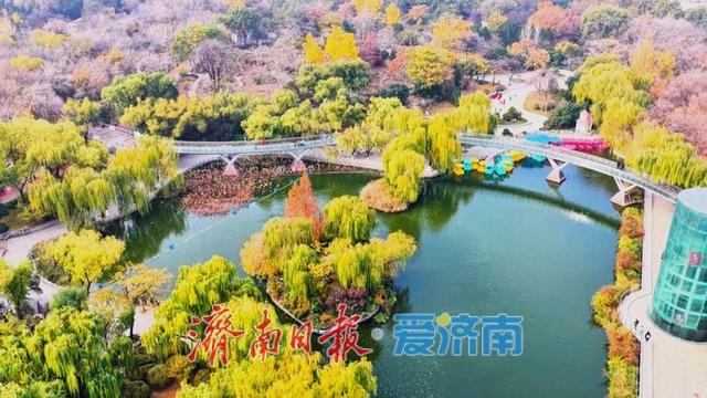 初冬，泉城公园开启“高饱和度”模式