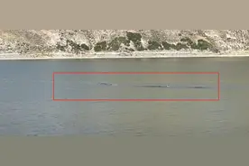 天山天池发现十多米长“水怪”？景区：可能是波浪，无证据证明有此类生物图片