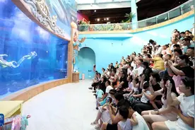 海洋馆鲸鲨是人造的，何不事先说清楚 | 新京报快评图片