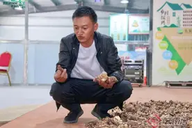 【我们的家园•世界的香格里拉】“重楼”引领产业兴 乡村发展焕新颜图片