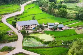 追梦故事｜公司白领返乡创业建农庄：带乡亲们一起致富图片