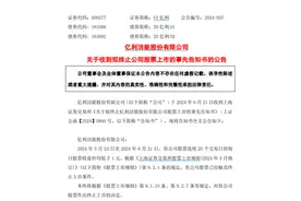 定了！这5只A股，将退市图片