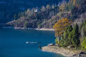 景区人气旺 酉阳春节假期迎来旅游高峰图片
