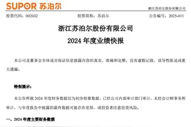 苏泊尔2024年财报出炉：净利润增长2.97%，外销强劲内销面临挑战图片
