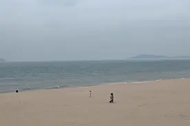 这片海滩藏着脊椎动物演化密码图片