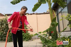 新闻纵深丨废水如何变“肥水”——农村生活污水资源化利用的故城样本图片