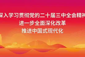拆！贞山街道依法依规拆除4处乱占林地、总面积约800平方米的违法建筑图片