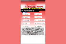 “i人/e人”“显眼包”等词上榜，2023年10大网络流行语出炉图片