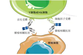 “三无”公司盛禾生物递表港交所：公司独立性面临挑战 机构突击入股为保合规？图片
