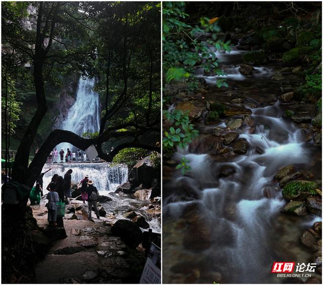 组图︱天然空调房！这个夏天适宜在株洲炎陵神农谷里纳清凉