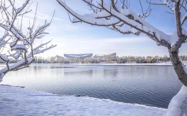 北京下雪了！雪景大片抢先看！外出注意防寒保暖