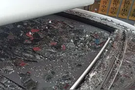 “天降”流浪猫砸坏小车，南京车主不予追究，律师解读：流浪动物闯祸如何追赔？图片