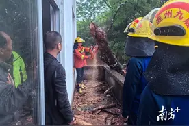 大树压垮房屋，连州九陂镇应急救援与险情抢时间图片