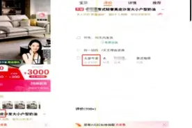 网购买到假“真皮”沙发？法院：退一赔三图片