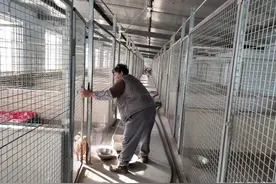 “新人”先隔离体检，爱心人士为“毛孩子”筹年夜饭！记者探访青岛爱护动物协会领养中心图片