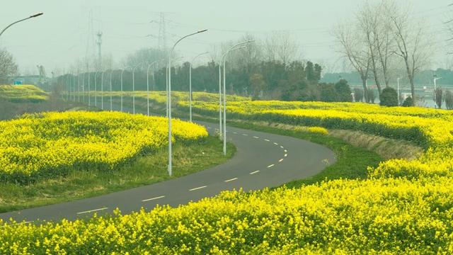 免费！火热！很多无锡人正在赶去