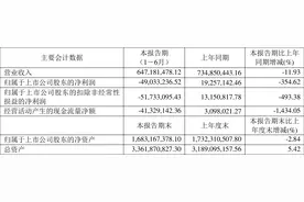 深圳新星：2023年上半年亏损4903.32万元图片