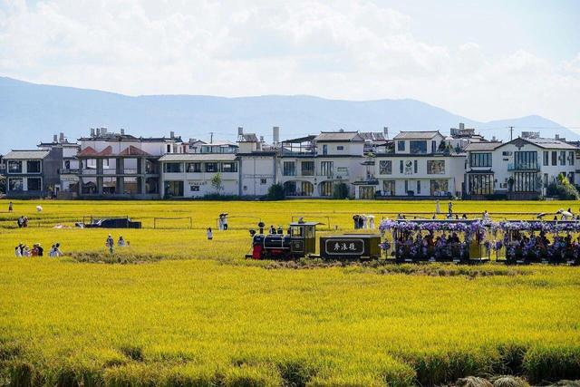 这场不等人的浪漫，有新玩法