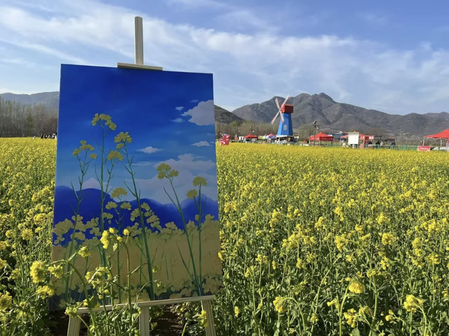 滨州花海：把春日“颜值”变成发展“产值”
