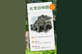 亲子游必看！国庆假期北京这些动物园向您推荐图片