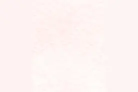 九三她力量丨我是女律师图片