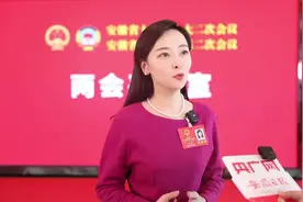 安徽省人大代表吴婷：加速推进安徽成为世界新能源汽车中心图片