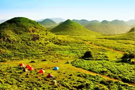 超越花海：毕节百里杜鹃打造四季皆美新玩法，用大文旅强劲赋能城乡发展图片