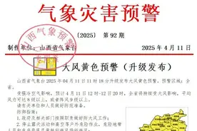 升级发布大风黄色预警！阵风可达9级以上图片