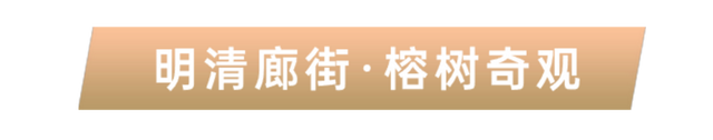 安逸四川 乐游绵阳 ‖ 郪江古镇：古榕听雨，崖墓谜光，邂逅千年王城遗韵