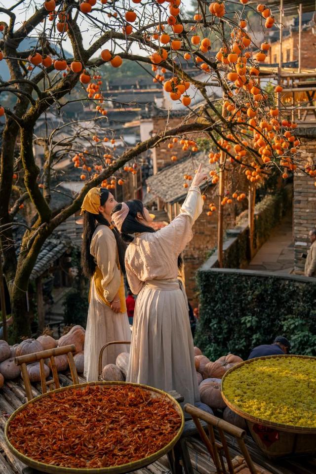 上饶荣登错峰赏秋热门目的地！跨年、寒假、春节连档，邀你共赴冬日诗意之旅