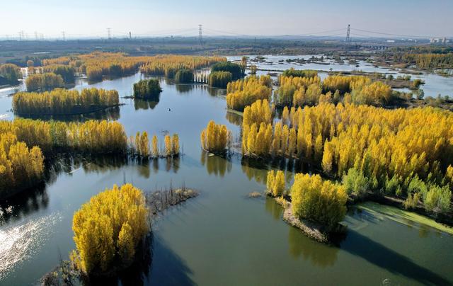 河北隆尧：初冬泜河风光秀美