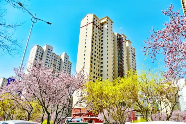 春色满城！定州藏不住的温柔与浪漫