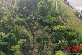 江华：两河三岸风景美人民群众幸福多图片