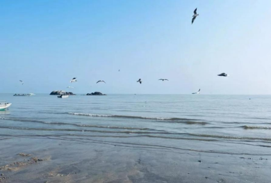 钦州周末限定快乐→潮水踏浪而来，把烦恼都卷进大海！