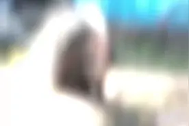 【视频】认真过冬的动物们，靠什么保暖？无锡动物园，泡温泉、囤脂肪、晒太阳的，都有图片