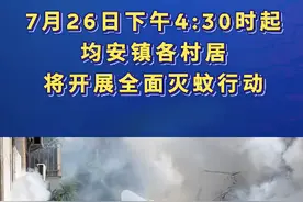 由村到镇！顺德一镇呼吁全体居民一起点蚊香，宣办回应图片