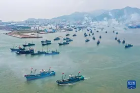 黄渤海伏季休渔结束 千船竞发耕蓝海图片