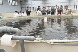 一立方米水一年可养出186斤鱼 这家神奇的养殖工厂是怎么做到的？图片