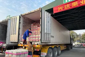 不沿边不靠海，怀化新鲜蔬菜闯出了东南亚大市场图片