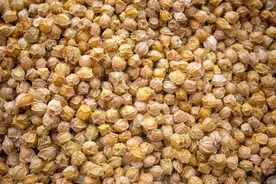 这种长得像灯笼一样的北方水果，我打赌南方人没见过图片